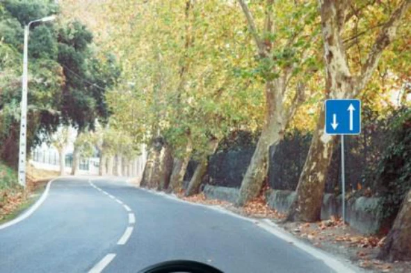 O que me indica o sinal vertical? — pergunta R10Q0110 do exame de código IMT