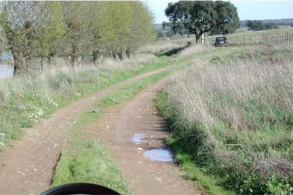Conduzo um automóvel ligeiro de passageiros. Se circular nesta via a 85/90 km/h: — pergunta R11Q0112 do exame de código IMT