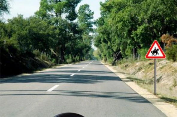 Este sinal indica aos condutores: — pergunta R11Q0157 do exame de código IMT