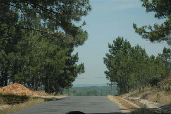 Fora das localidades, qual é a velocidade máxima permitida para os automóveis ligeiros de passageiros com reboque? — pergunta R14Q0029 do exame de código IMT