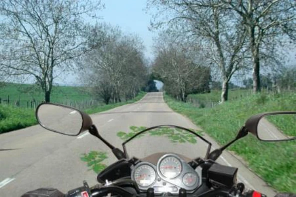 Nesta situação, em que há folhas de árvore na faixa de rodagem, a aderência do motociclo que conduzo pode ficar comprometida? — pergunta R14Q0105 do exame de código IMT