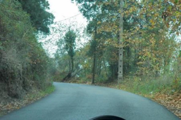 Ao circular neste local só estou obrigado a moderar a velocidade se circular com velocidade superior à permitida para esta via pública. Concorda com esta afirmação? — pergunta R2Q0044 do exame de código IMT