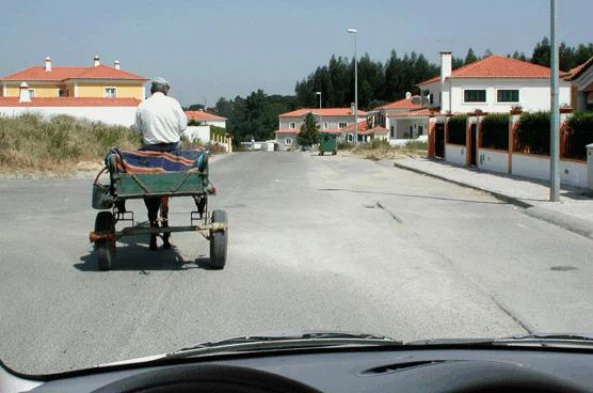 O condutor de um veículo de tração animal deve ceder a passagem aos veículos a motor. — pergunta R2Q0116 do exame de código IMT