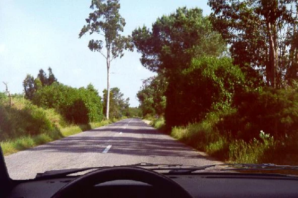 Neste local, não posso circular a velocidade superior a: — pergunta R4Q0165 do exame de código IMT