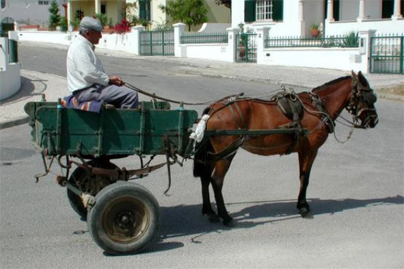 Ao circular numa rotunda, o condutor de um veículo de tração animal: — pergunta R6Q0238 do exame de código IMT