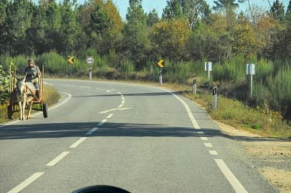A via pública destina-se exclusivamente ao trânsito de veículos a motor. Concorda com esta afirmação? — pergunta R9Q0206 do exame de código IMT