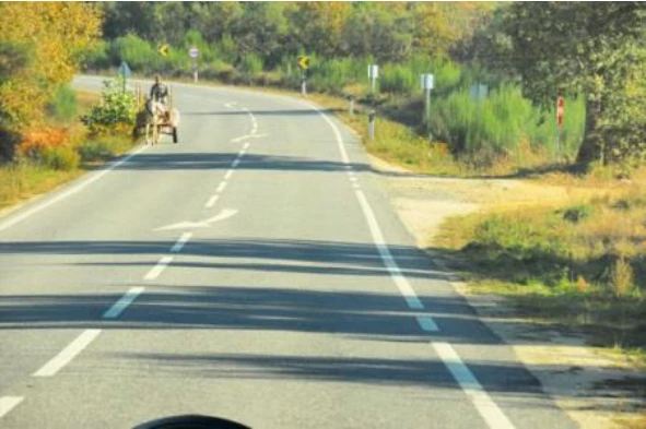 O Código da Estrada sanciona o condutor de um veículo de tracção animal que cause impedimento para o trânsito? — pergunta R9Q0209 do exame de código IMT